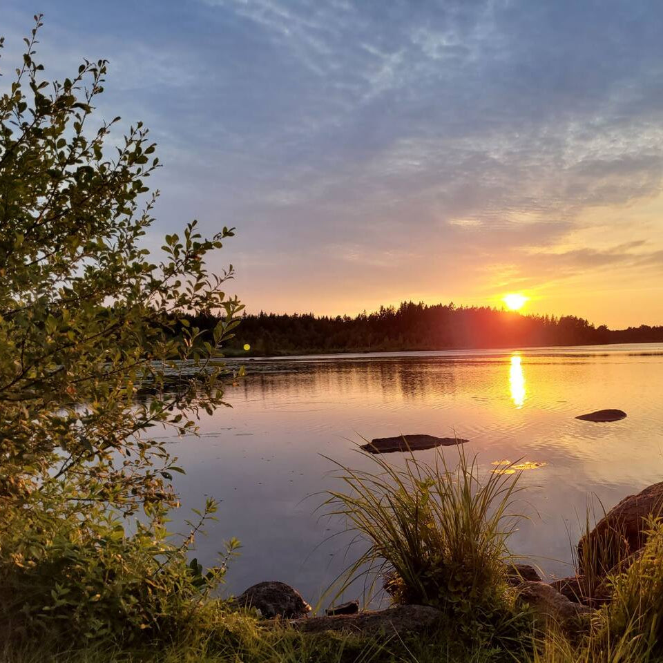 ריטריט נשים / שבדיה / פברואר 2026